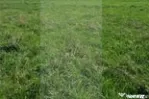 Teren intravilan de vanzare, 700 mp, cu 3 fronturi stradale