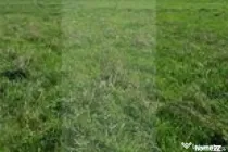Teren intravilan de vanzare, 700 mp, cu 3 fronturi stradale