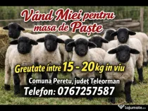 Miei pentru masa de Paște