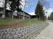 Oportunitate rara de investitie – teren in Sovata, str.... 