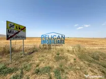 Teren intravilan M. Kogalniceanu, 1000MP, la drumul national