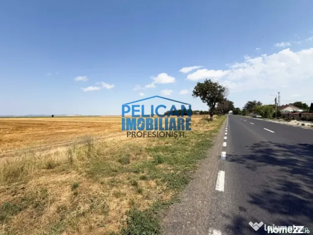 Teren intravilan M. Kogalniceanu, 1000MP, la drumul national - Mihail Kogalniceanu (Tulcea)