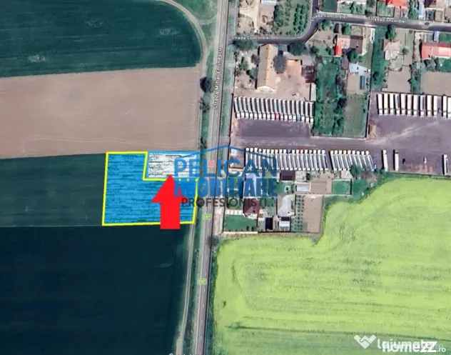 Teren intravilan M. Kogalniceanu, 1000MP, la drumul national - Mihail Kogalniceanu (Tulcea)