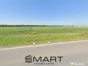 Teren arabil sat Cucueti 