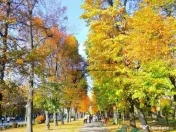 Serban Voda - Carol - Tineretului - 2 camere cu terasa 