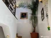 Vila individuala 6 camere, 1905 mp teren, in Stejeris langa 