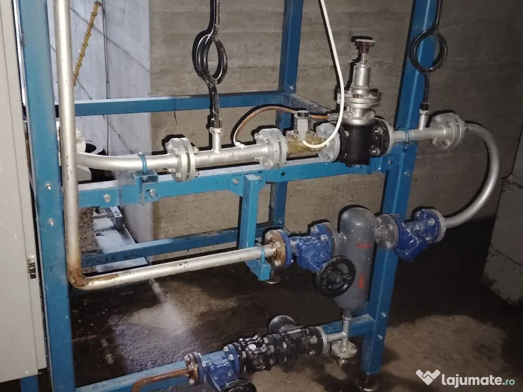 Linie Extrudare Soia