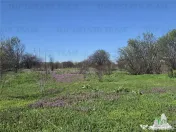 TEREN Intravilan 8.500 mp PACII 