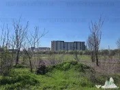 TEREN Intravilan 8.500 mp PACII 