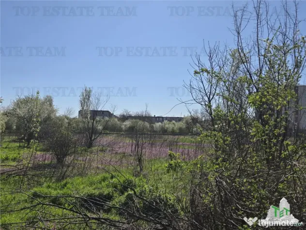 TEREN Intravilan 8.500 mp PACII