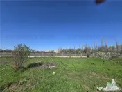 TEREN Intravilan 8.500 mp PACII 