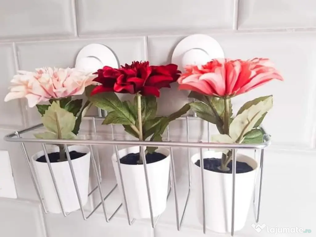 Aparatorii patriei tomesti bloc nou etaj 7