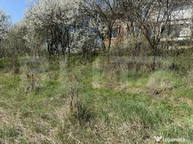 Teren intravilan in localitatea Criseni in suprafata de 2700