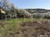 Teren intravilan in localitatea Criseni in suprafata de 2700 