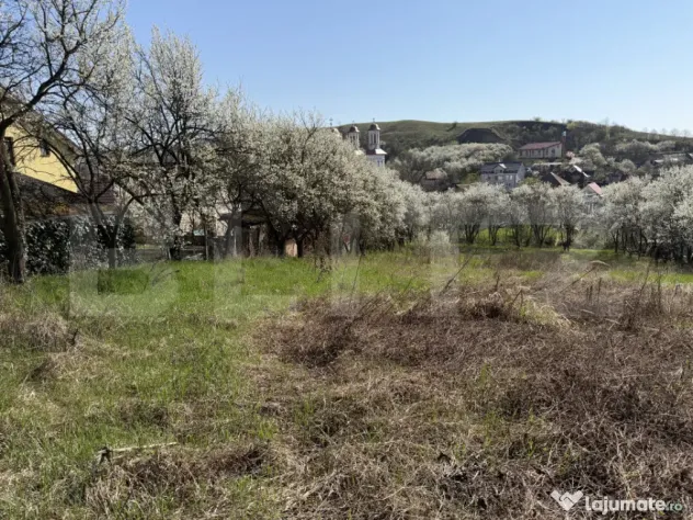 Teren intravilan in localitatea Criseni in suprafata de 2700