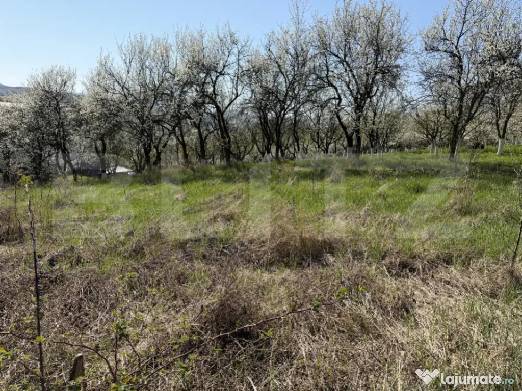 Teren intravilan in localitatea Criseni in suprafata de 2700