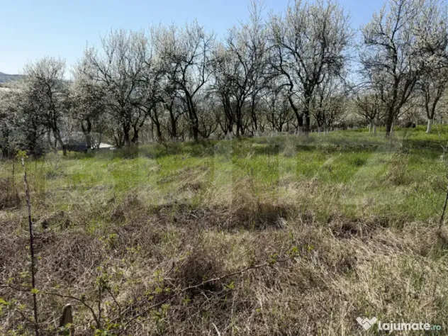 Teren intravilan in localitatea Criseni in suprafata de 2700