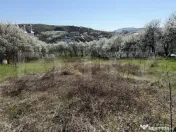 Teren intravilan in localitatea Criseni in suprafata de 2700 