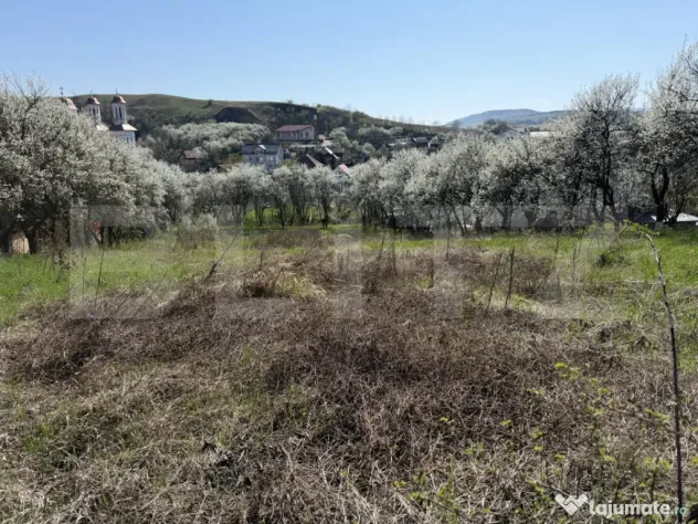 Teren intravilan in localitatea Criseni in suprafata de 2700