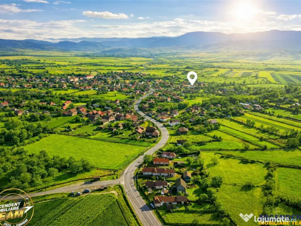 FILM! Casa cu sura, pivnita, balta cu pesti, 2.280 mp teren