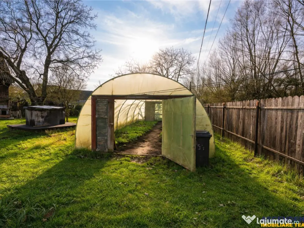 FILM! Casa cu sura, pivnita, balta cu pesti, 2.280 mp teren