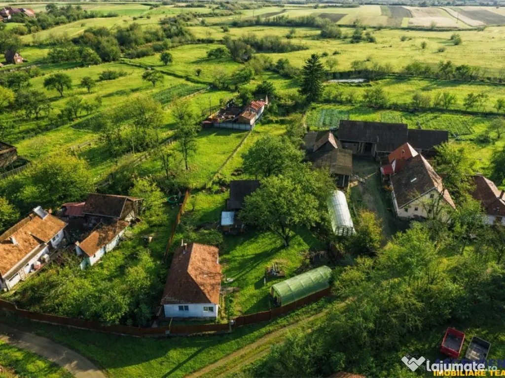 FILM! Casa cu sura, pivnita, balta cu pesti, 2.280 mp teren