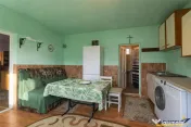 FILM! Casa cu sura, pivnita, balta cu pesti, 2.280 mp teren 