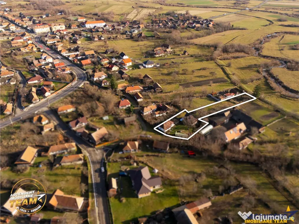 FILM! Casa cu sura, pivnita, balta cu pesti, 2.280 mp teren