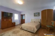 FILM! Casa cu sura, pivnita, balta cu pesti, 2.280 mp teren 