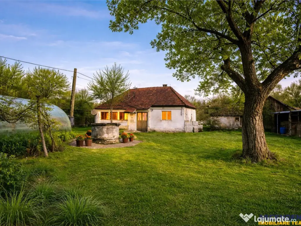FILM! Casa cu sura, pivnita, balta cu pesti, 2.280 mp teren