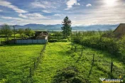 FILM! Casa cu sura, pivnita, balta cu pesti, 2.280 mp teren 