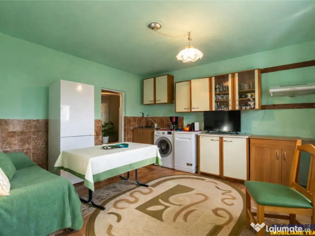 FILM! Casa cu sura, pivnita, balta cu pesti, 2.280 mp teren