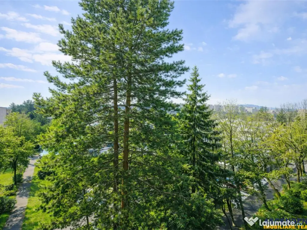Apartament cu potential,areal verde, panorama,terasa,zona A,