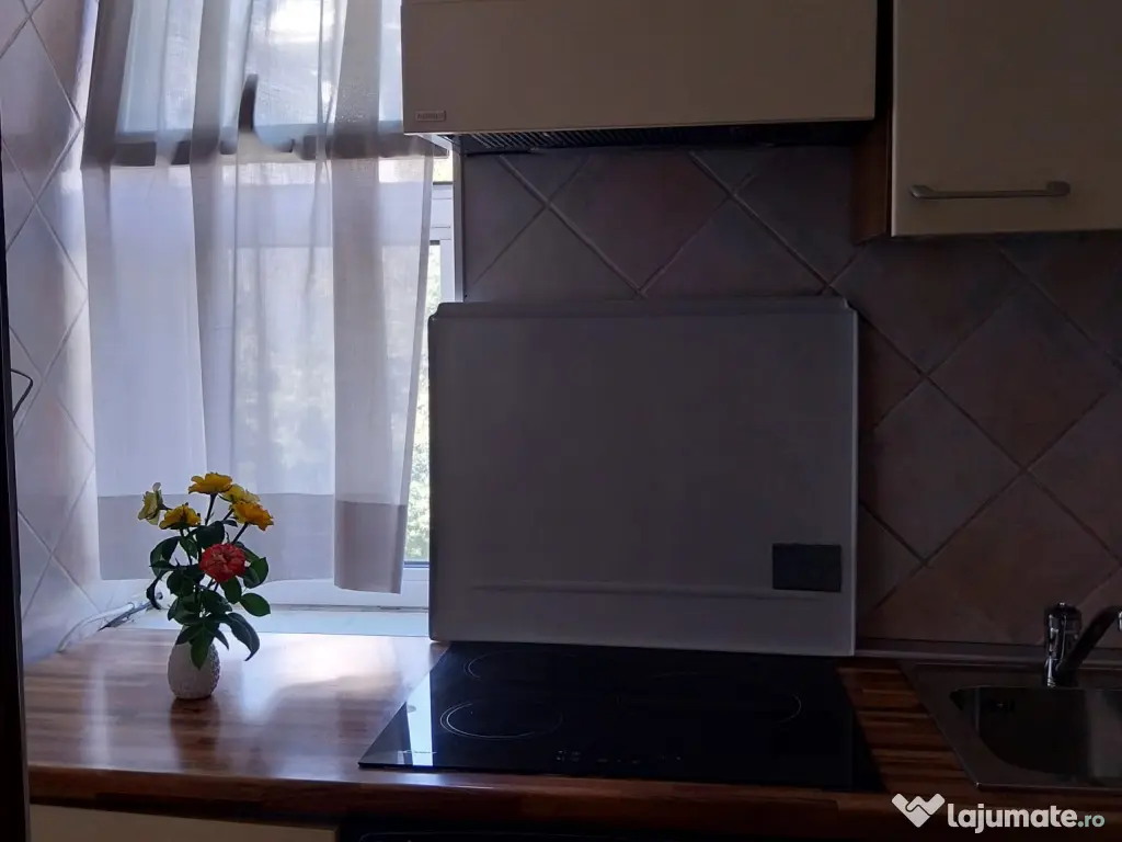 Inchiriez garsoniera ultracentrala