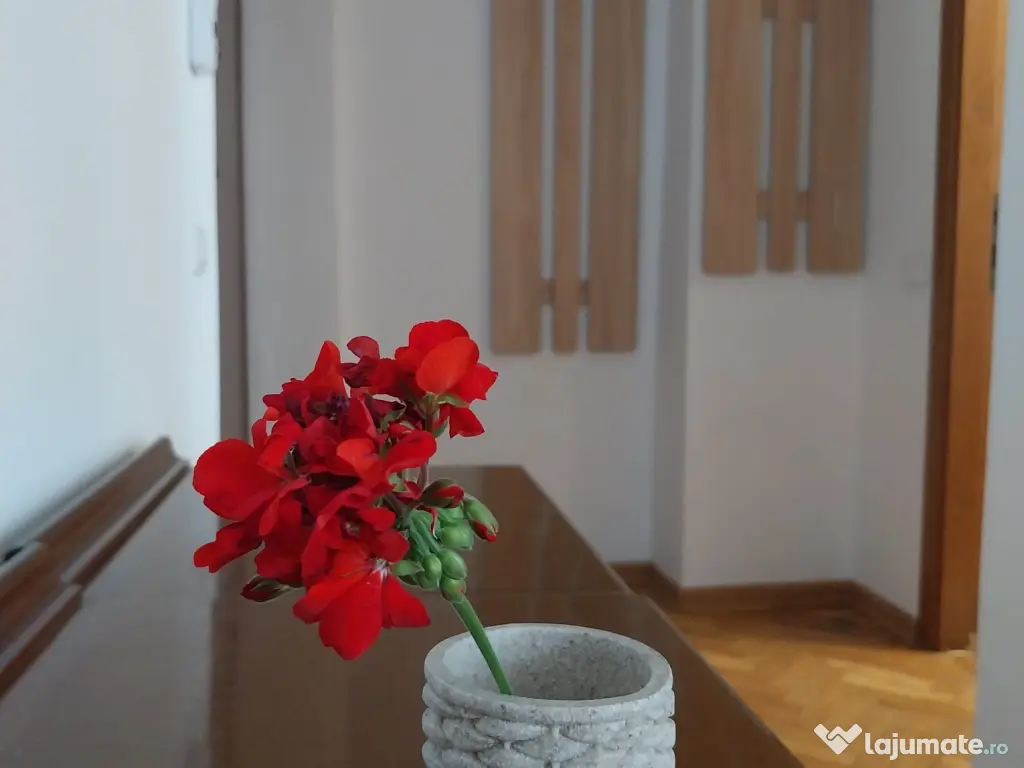 Inchiriez garsoniera ultracentrala