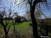 Spațiu industrial de 400mp de vânzare 