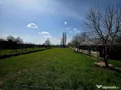 Spațiu industrial de 400mp de vânzare 