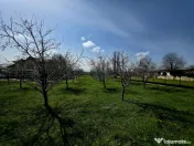 Spațiu industrial de 400mp de vânzare 