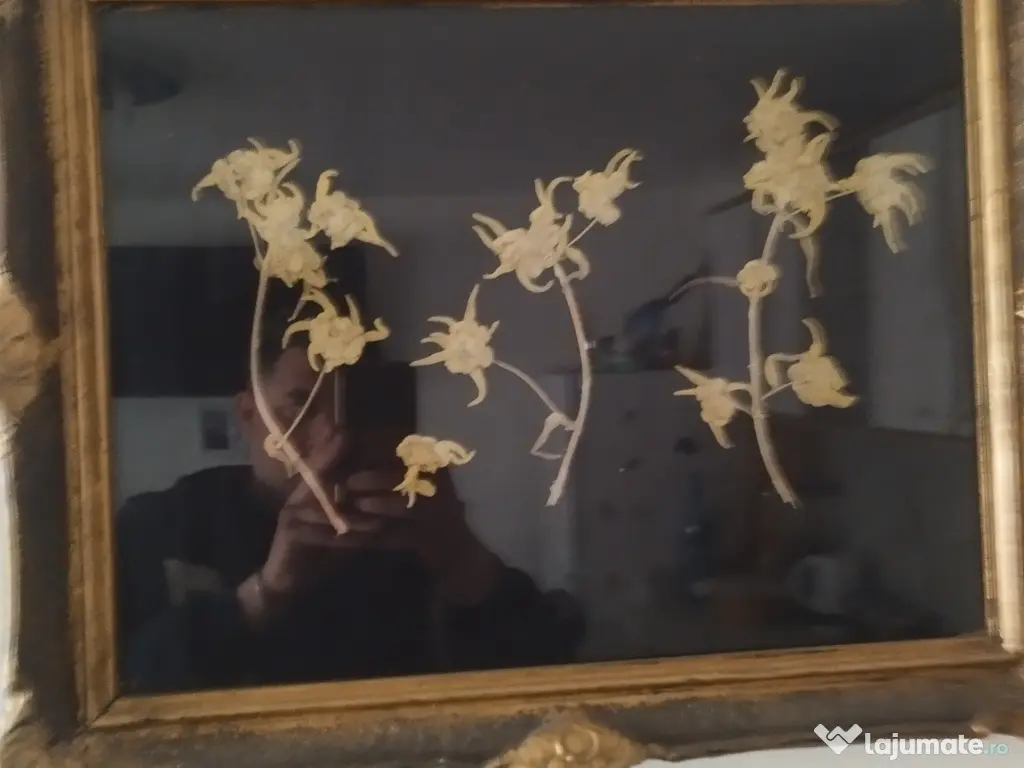 Tablou Floare de Colt