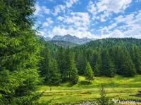Teren intravilan panoramic 4.600mp,view iconic Piatra Craiul 