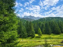Teren intravilan panoramic 4.600mp,view iconic Piatra Craiul