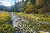 Teren intravilan panoramic 4.600 mp, view iconic Piatra Crai 