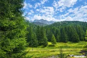 Teren intravilan panoramic 4.600 mp, view iconic Piatra Crai 