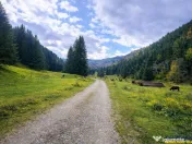 Teren intravilan panoramic 4.600mp,view iconic Piatra Craiul 