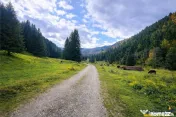 Teren intravilan panoramic 4.600 mp, view iconic Piatra Crai 