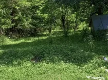 Vand casa +teren,Breaza prahova