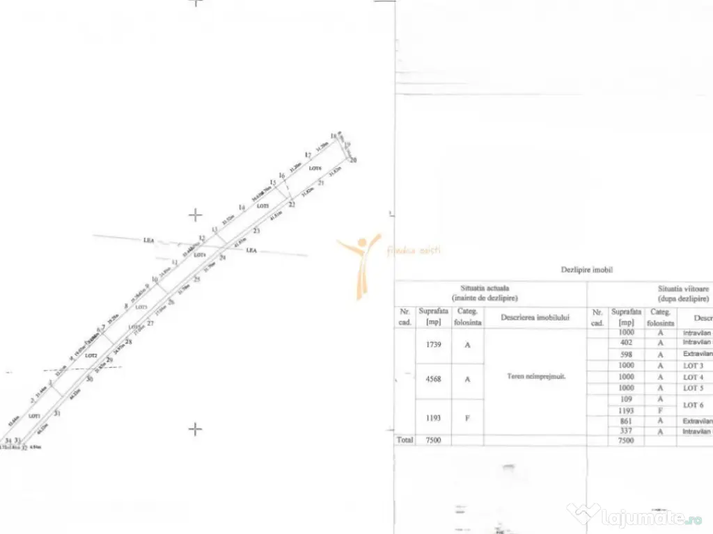 Teren 15000 mp Poieni Schitu Duca deschidere la DN IS-VS
