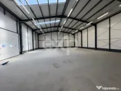 Hale industriale, str. Depozitelor, Pitesti 