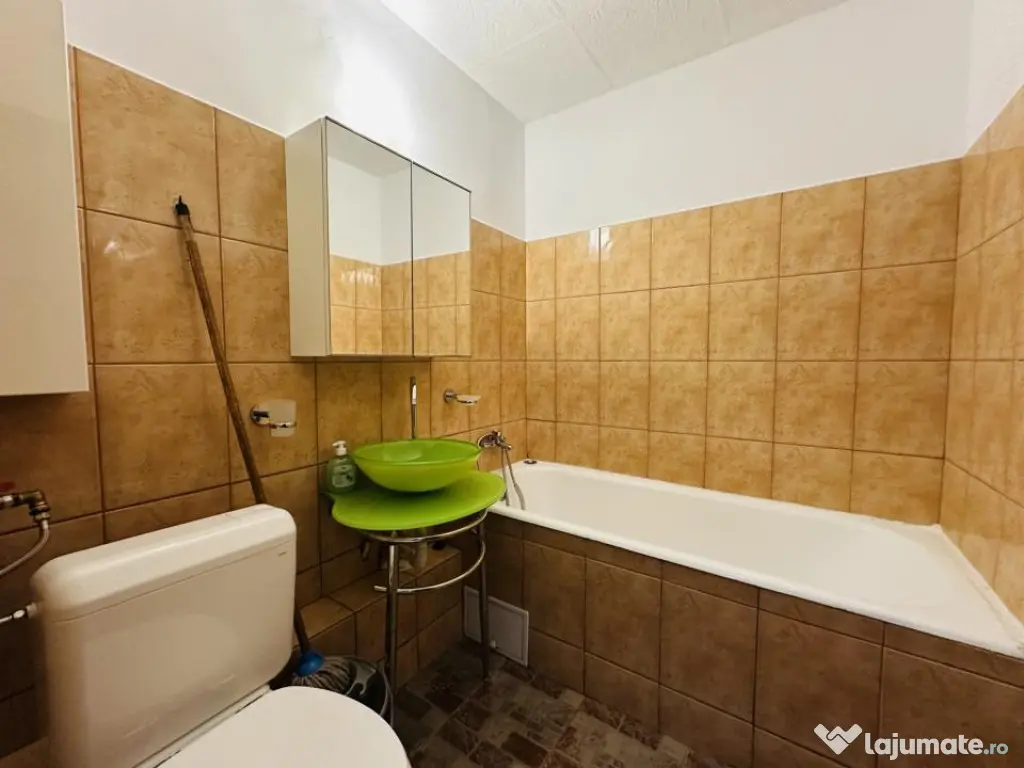 Garsoniera - Magura Vulturului - Zona Ferdinand