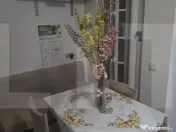 Vind casa cu doua apartamente cu intrare separata. 